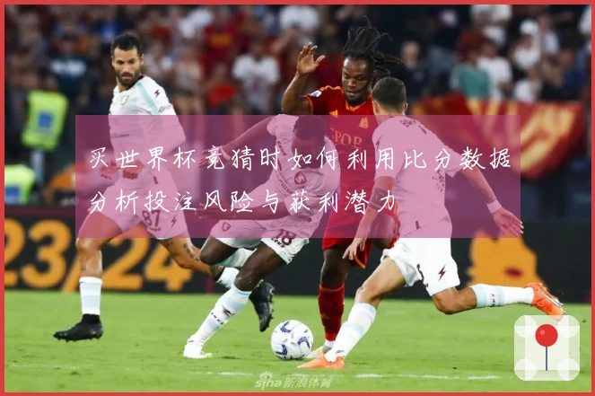 买世界杯竞猜时如何利用比分数据分析投注风险与获利潜力