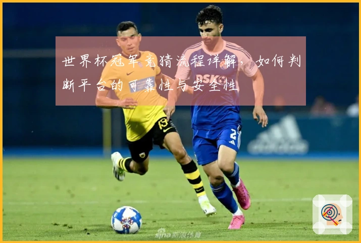 世界杯冠军竞猜流程详解，如何判断平台的可靠性与安全性