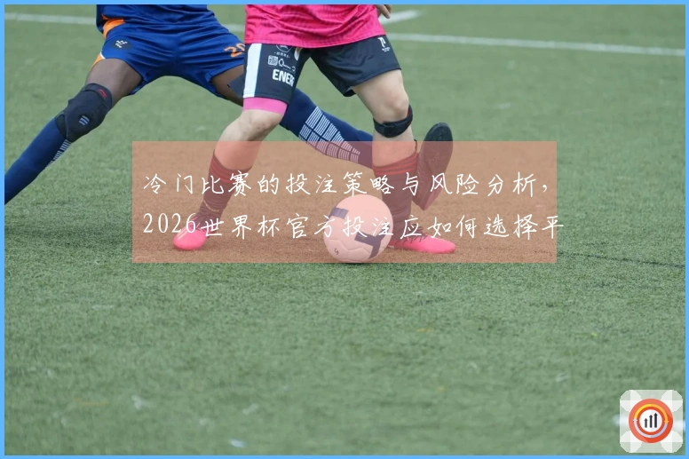 冷门比赛的投注策略与风险分析，2026世界杯官方投注应如何选择平台？