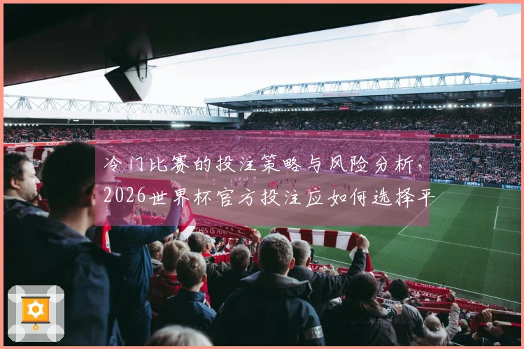 冷门比赛的投注策略与风险分析，2026世界杯官方投注应如何选择平台？
