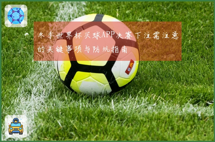冬季世界杯买球APP决赛下注需注意的关键事项与防坑指南