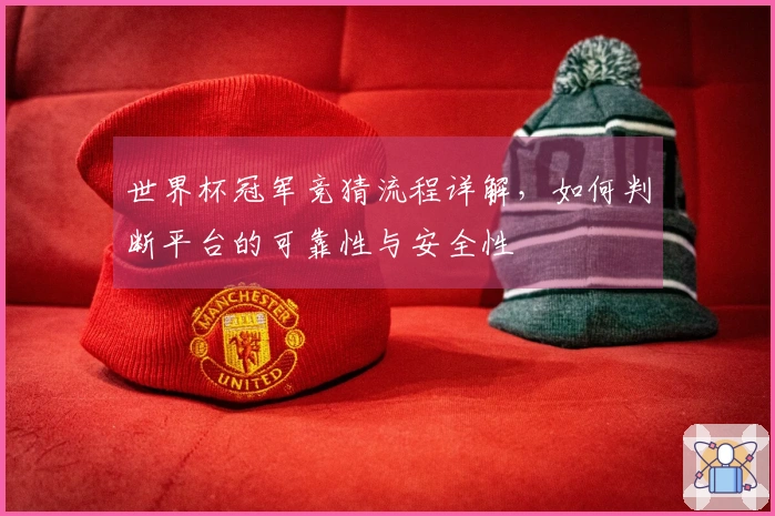 世界杯冠军竞猜流程详解，如何判断平台的可靠性与安全性