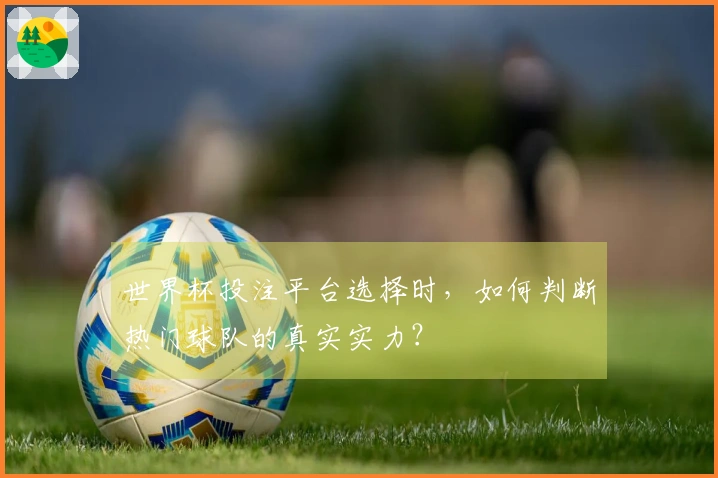 世界杯投注平台选择时，如何判断热门球队的真实实力？