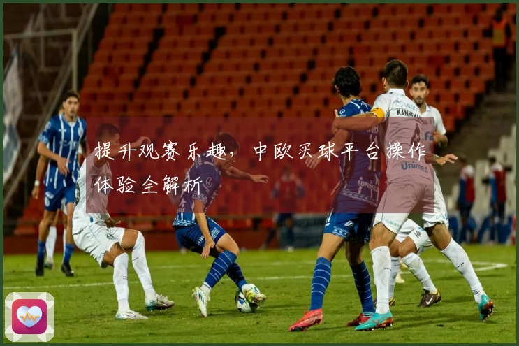 提升观赛乐趣，中欧买球平台操作体验全解析