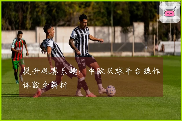 提升观赛乐趣，中欧买球平台操作体验全解析