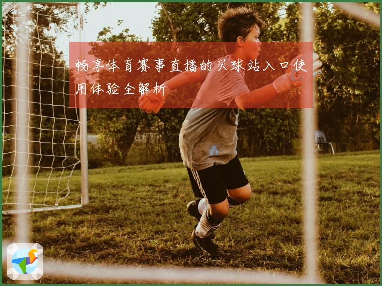 畅享体育赛事直播的买球站入口使用体验全解析