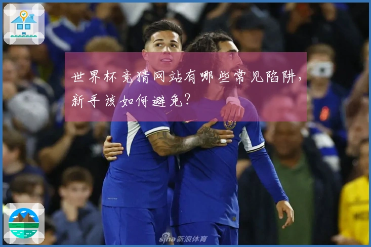 世界杯竞猜网站有哪些常见陷阱，新手该如何避免？